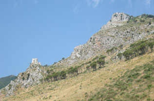 C.A.R.S.I.C. - Riabilitazione